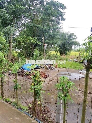 NỀN BIỆT THỰ VIEW SÔNG SIU ĐẸP KV BÌNH THỦY