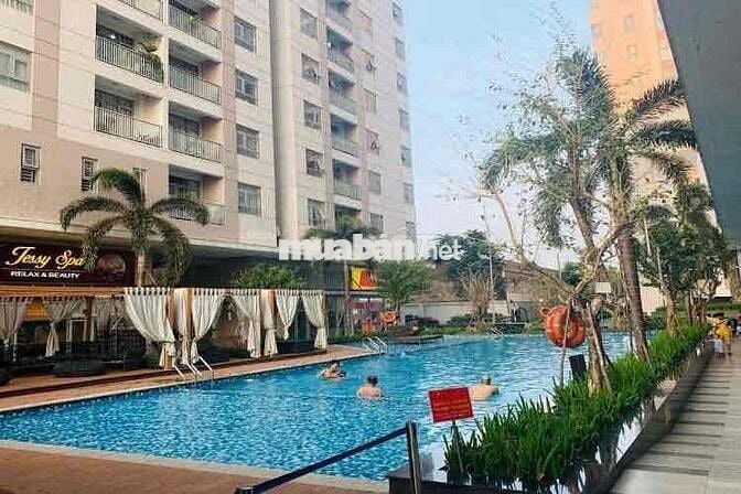 chính chủ cho thuê căn hộ Luxcity Quận 7..