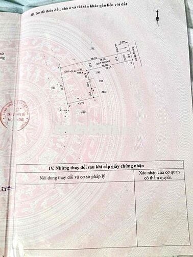 ✨Đất Hoà Lợi sắp lên nhựa 394,4 m2 có 80 thổ cư thích hợp xây trọ KCN