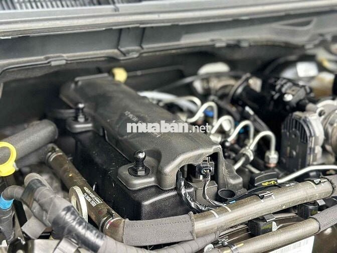 Ford Ranger 2021 XLS Dầu tự động xe gia đình