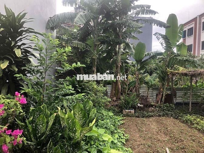 Đất 55m2 Xích Thổ, Hồng Thái HXH 5m giá chỉ 1,15 tỷ đồng