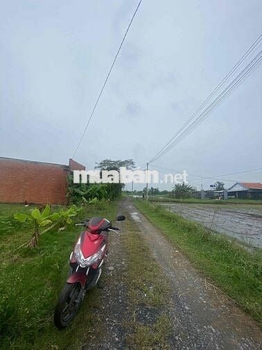 Bán đất thổ cư.DT:75m2.Giá 850triệu