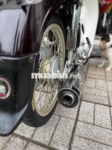 🌈 SUPPER DREAM HSCT XE CỨNG CÁP MÁY ÊM NGON💥CÓGÓP💥