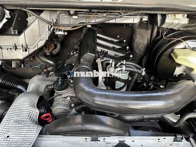 Em bán Merc Sprinter 311 sx 2010 du lịch nòi
