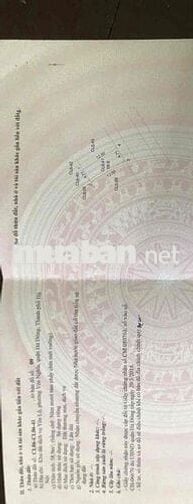 Đất dịch vụ Yên Nghĩa 58,9m2 khu đô thị Đô Nghĩa