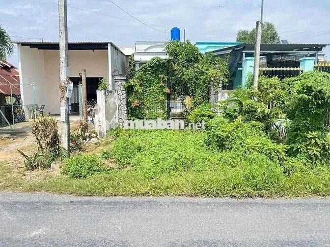 Bán gấp BĐS tại Đức Lập Thượng, Long An, 597,6 m2, giá 2.285 tỷ