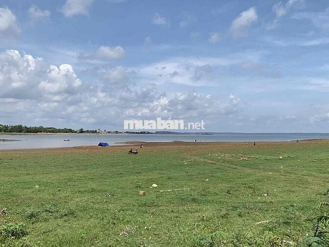 SANG NHƯỢNG QUÁN TRÀ SỮA TOCOTOCO 30/4 – CÔNG VIÊN BIÊN HÙNG