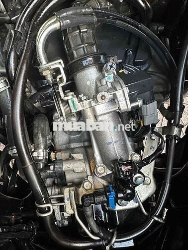 vario 125 xém cọp vĩnh long