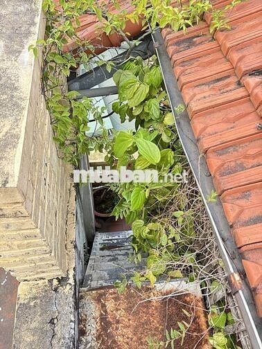 Cho thuê phòng tầng 4 An Dương Vương, Phú Thượng, Tây Hồ