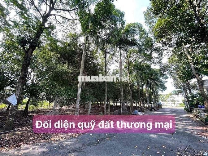 ❌❌Chủ gửi đường 7B KDC Đại Dương P6 - DT: 5x18m=90m2 💰💰2 tỷ 450 triệu