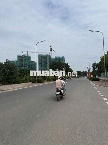 CẦN BÁN ĐẤT ĐẤU GIÁ CỔ LINH LONG BIÊN HÀ NỘI.