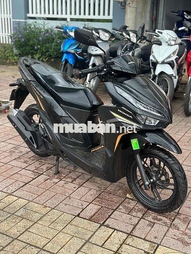 vario 2024