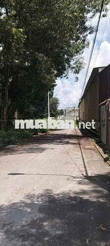 Cho thuê xưởng Tân Uyên Bình Dương Xưởng 2 mặt tiền  💥 diện tích 600 m