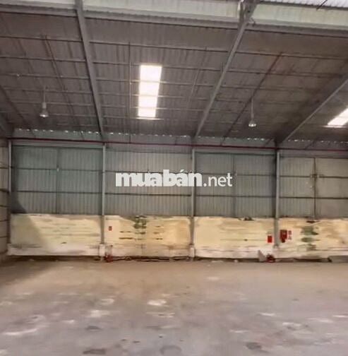 Cần cho thuê gấp kho giá rẻ ở Quận 7 diện tích 300m2 đường cont