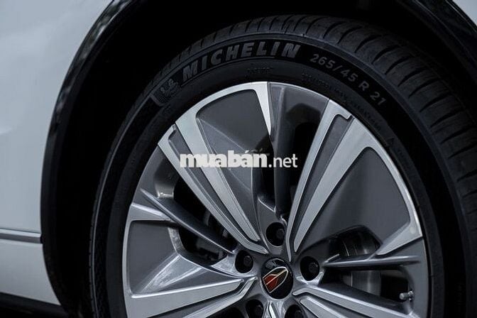 Ô tô Hongqi HS9 2022 màu trắng, 60.000 km