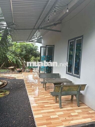 Cho thuê nhà vườn thôn 4 Cưbur