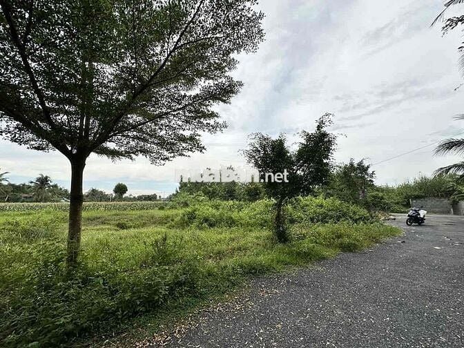 Chính chủ cần bán đất Full thổ cư sau KCN Tân Hương 10x20M