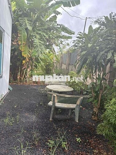 Cho thuê nhà vườn thôn 4 Cưbur