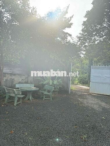 Cho thuê nhà vườn thôn 4 Cưbur