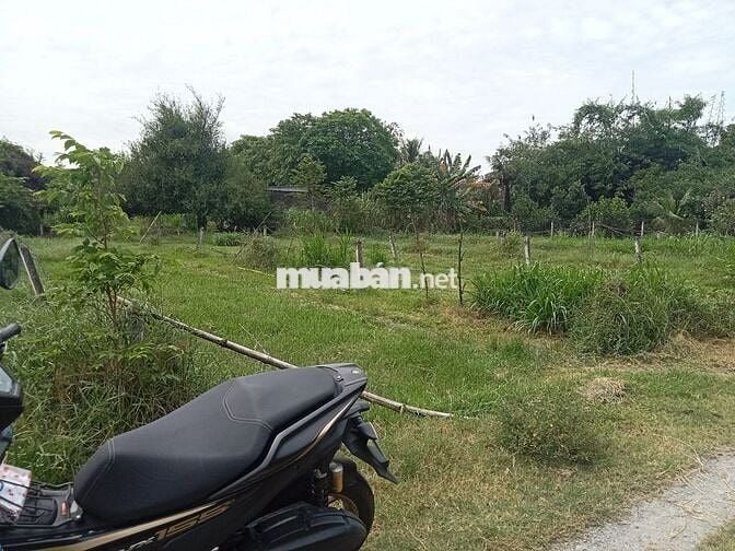 Cần bán đất đường Pháo Binh, Thanh Phước, Gò Dầu, Tây Ninh