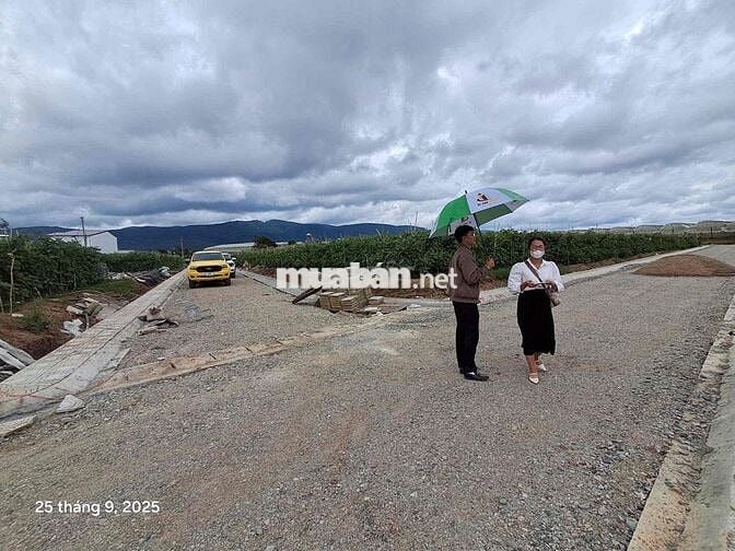 Cơ hội vàng sở hữu lô đất 447m² ngay thị trấn Thạnh Mỹ – trung tâm Đơn