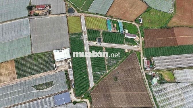 Cơ hội vàng sở hữu lô đất 447m² ngay thị trấn Thạnh Mỹ – trung tâm Đơn