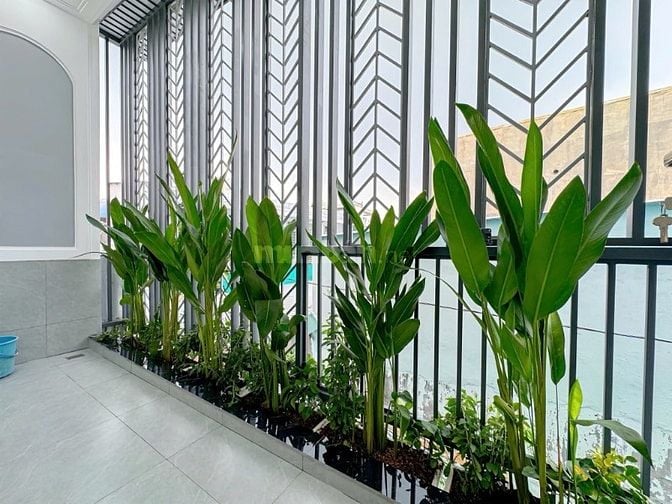 Bán nhà 2 tầng Trần Xuân Soạn Q7 – Full nội thất – 3PN – 6,3 tỷ TL