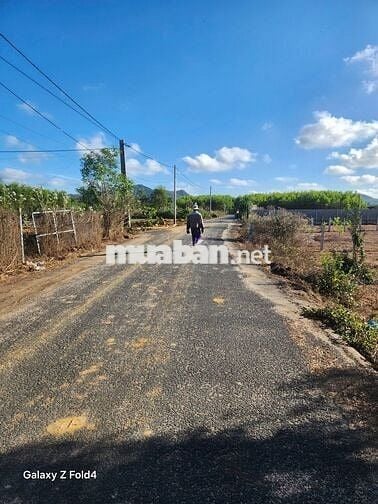 Bán đất tại Phước Hải dành cho người muốn xây nhà 780 triệu, 154 m2