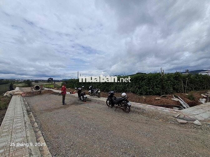 Cơ hội vàng sở hữu lô đất 447m² ngay thị trấn Thạnh Mỹ – trung tâm Đơn