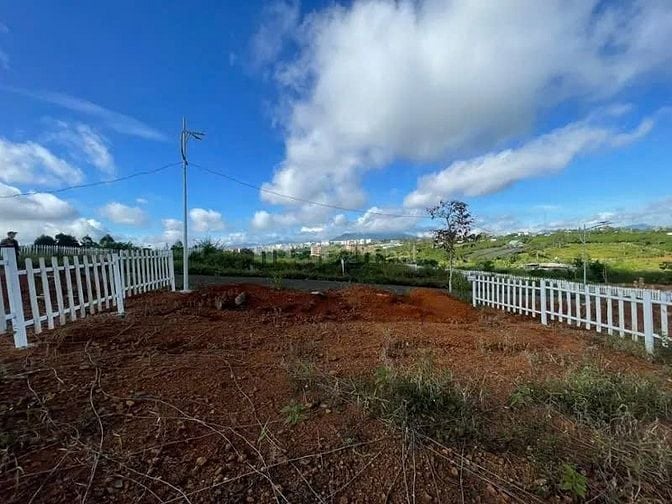 Công ty Đấu giá hợp danh Lam Sơn Sài Gòn THÔNG BÁO ĐẤU GIÁ TÀI SẢN
