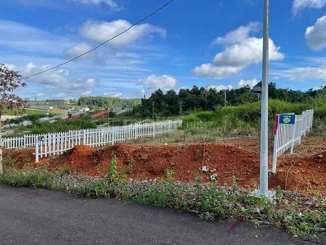 Công ty Đấu giá hợp danh Lam Sơn Sài Gòn THÔNG BÁO ĐẤU GIÁ TÀI SẢN