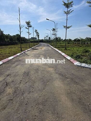 Cần bán đất hòa lạc nằm tại trung tâm đô thị vệ tinh