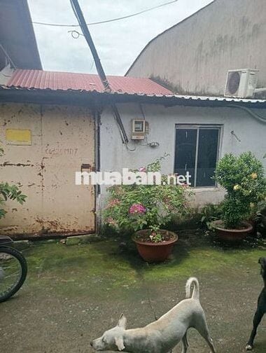 Nhà hẽm xe hơi C4 phạm hùng ngay sân banh DT 5 x 18m trệt