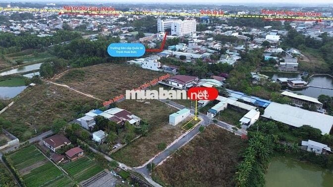 Góc 119m2 mặt tiền nhựa rộng 9m ngay trường  Quốc tế Trịnh Hoài Đức