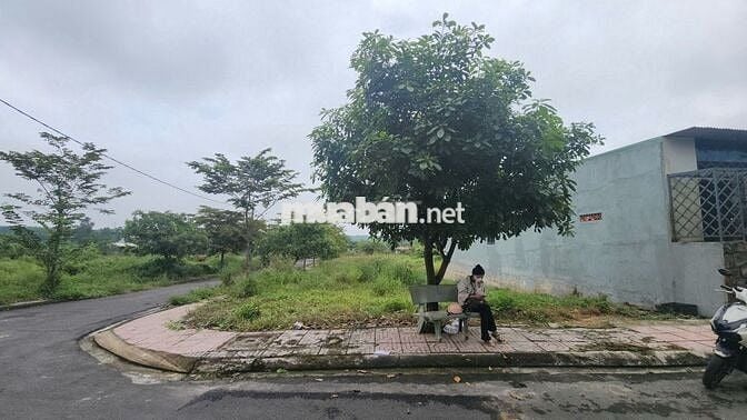 Góc 119m2 mặt tiền nhựa rộng 9m ngay trường  Quốc tế Trịnh Hoài Đức