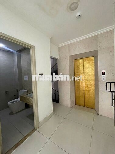 MT HAI BÀ TRƯNG QUẬN 1 - 5x20 - 6 TẦNG THANG MÁY - 125 TRIỆU