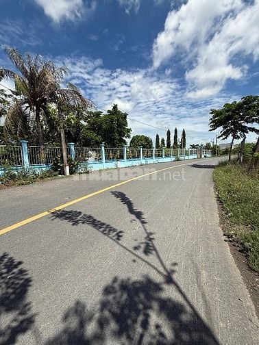 cần mua đất ngộp giá hợp lý thanh toán nhanh lẹ