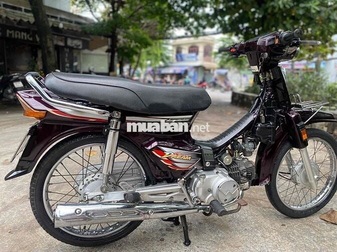 super drim 2008 biển Tp