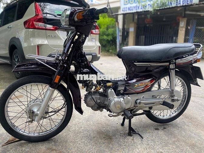 super drim 2008 biển Tp