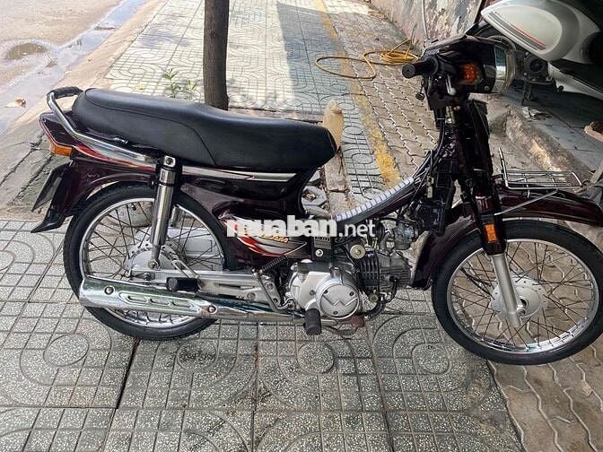 super drim 2008 biển Tp