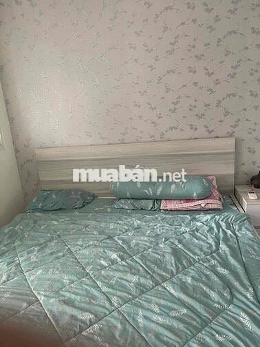 Chung cư cộng hoà garden 50m2 Quận Tân Bình