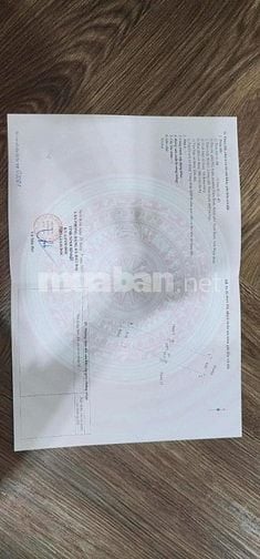 BÁN GẤP CĂN NHÀ 3 TẦNG NGÕ 1 NAM BÌNH CỰC ĐẸP CÓ THỂ Ở HOẶC KINH DOANH