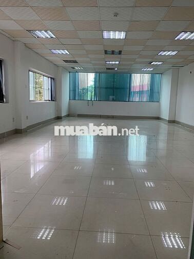 🏢 Cho Thuê Tòa Nhà Trường Sơn Q10 – 6 Tầng, Thang Máy, 110Tr 💼