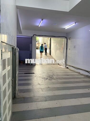 🏢 Cho Thuê Tòa Nhà Trường Sơn Q10 – 6 Tầng, Thang Máy, 110Tr 💼