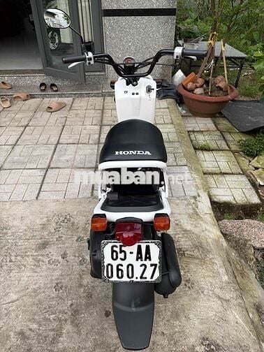 Honda Zoomer 50cc  đi học - đi chợ - đi cà phê