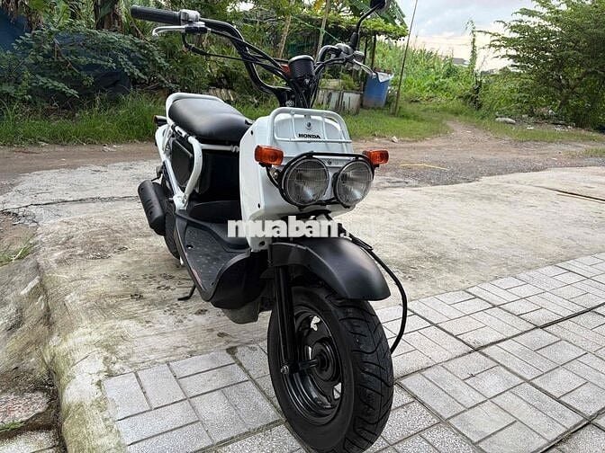 Honda Zoomer 50cc  đi học - đi chợ - đi cà phê