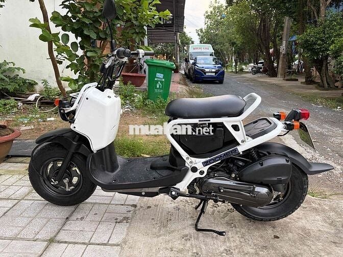 Honda Zoomer 50cc  đi học - đi chợ - đi cà phê