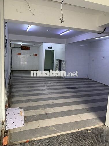 🏢 Cho Thuê Tòa Nhà Trường Sơn Q10 – 6 Tầng, Thang Máy, 110Tr 💼