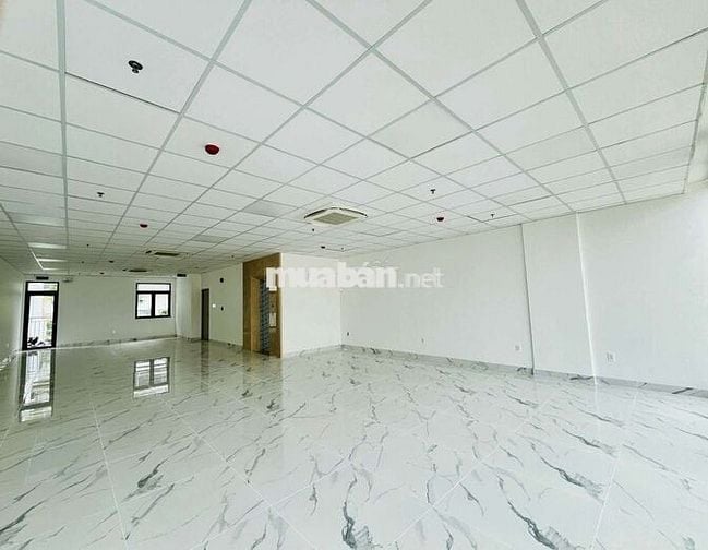 DT 7 x 28m 1Hầm 1Trệt 5Lầu Thang Máy PCCC ( Sàn Trống Suốt )