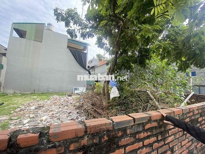 Hoa hậu An khánh- lô góc -ô tô vào tận nhà- 51m nhỉnh hơn 5 cụ thể 5.1 Hoa hậu An khánh- lô góc -ô tô vào tận nhà- 51m nhỉnh hơn 5 cụ thể 5.1